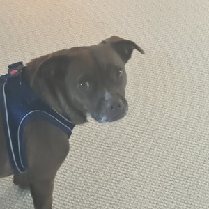 Fundraising Page: Frederick B